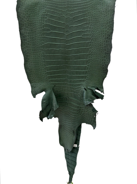 43 cm Grade 1/2 Forest Green Matte Wild American Alligator Leather - Tag: LA16-0033469