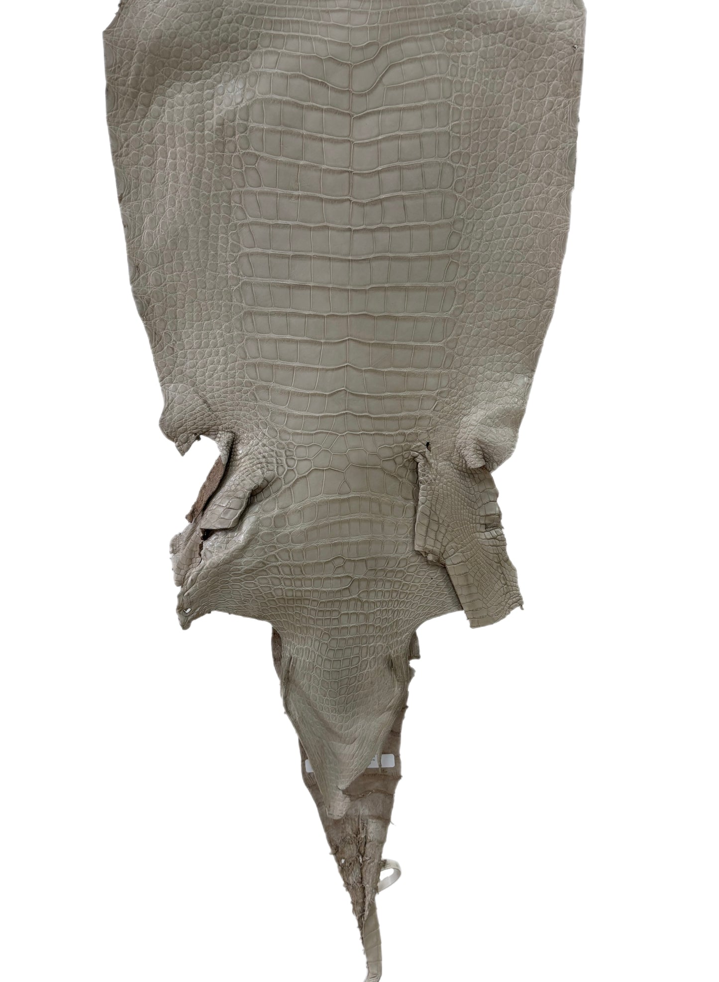 40 cm Grade 2/3 Stormy Matte Wild American Alligator Leather - Tag: LA23-0022726