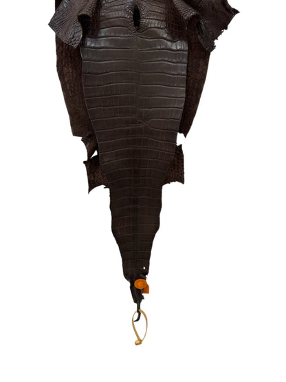 29 cm Grade 1/2 Chocolate Matte Wild American Alligator Leather - Tag: FL15-0057223