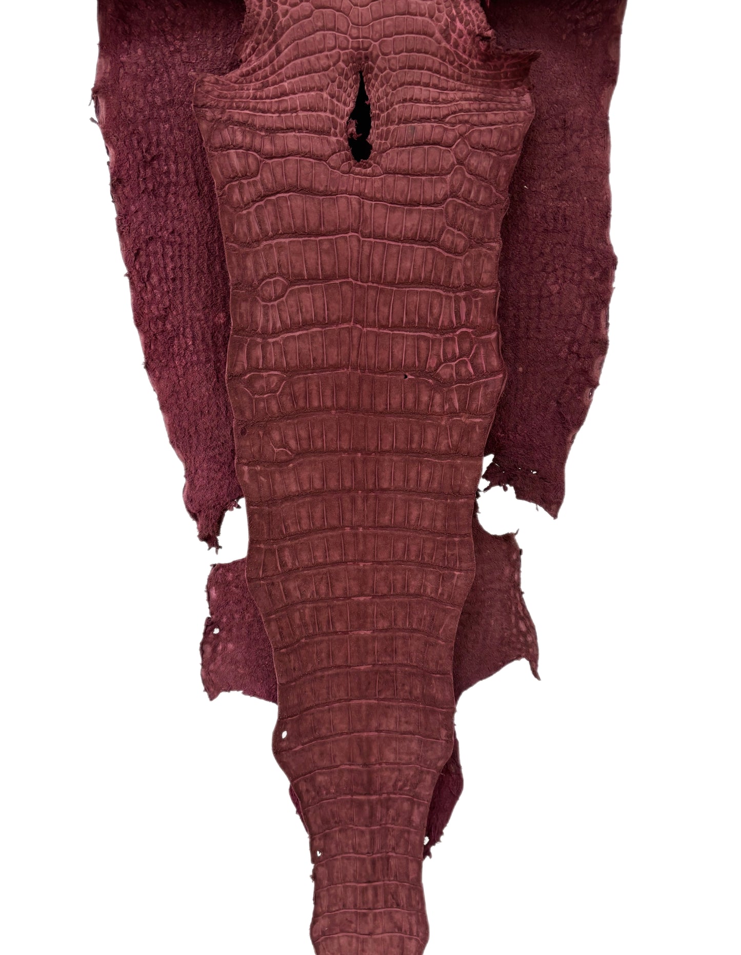 40 cm Grade 2/3 Bordeaux Nubuck Wild American Alligator Leather - Tag: LA18-0037372
