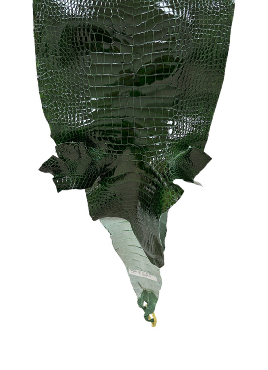 40 cm Grade 2/3 Forest Green Glazed Wild American Alligator Leather - Tag: LA16-0014238
