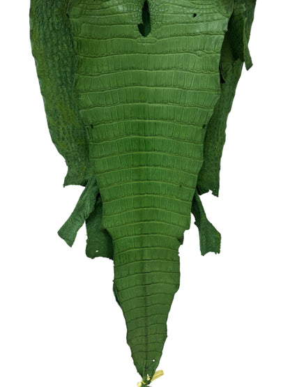 41 cm Grade 3/4 Jungle Green Matte Wild American Alligator Leather - Tag: LA23-0048187