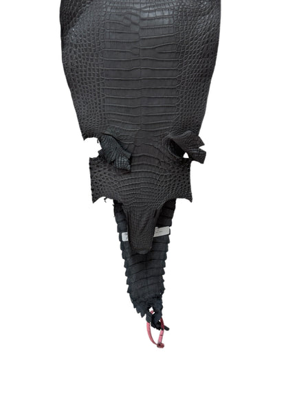 24 cm Grade 1/2 Serpentine Grey Matte Farm-Raised American Alligator Leather - Tag: FL21-0024711