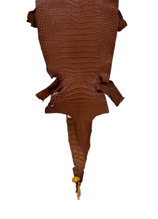 23 cm Grade 2/3 Rustic Cognac Matte Wild American Alligator Leather - Tag: LA09-0107788