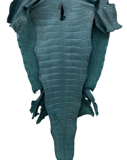 43 cm Grade 2/3 Teal Matte Wild American Alligator Leather - Tag: LA23-0048188