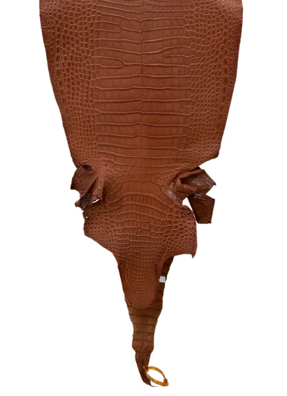 36 cm Grade 2/3 Rustic Cognac Matte Wild American Alligator Leather - Tag: LA23-0022818