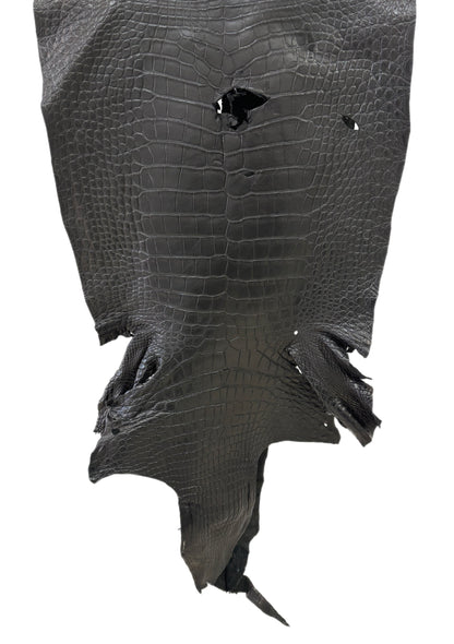 48 cm Grade 4/5 Black Matte Wild American Alligator Leather - Tag: LA24-0031238