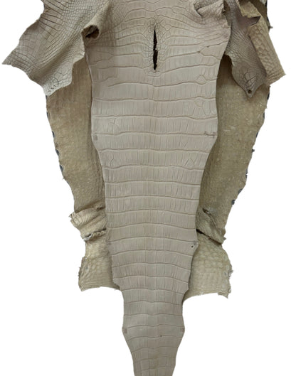52 cm Grade 2/3 Dune Matte Farm American Alligator Leather - Tag: LA23-0017248
