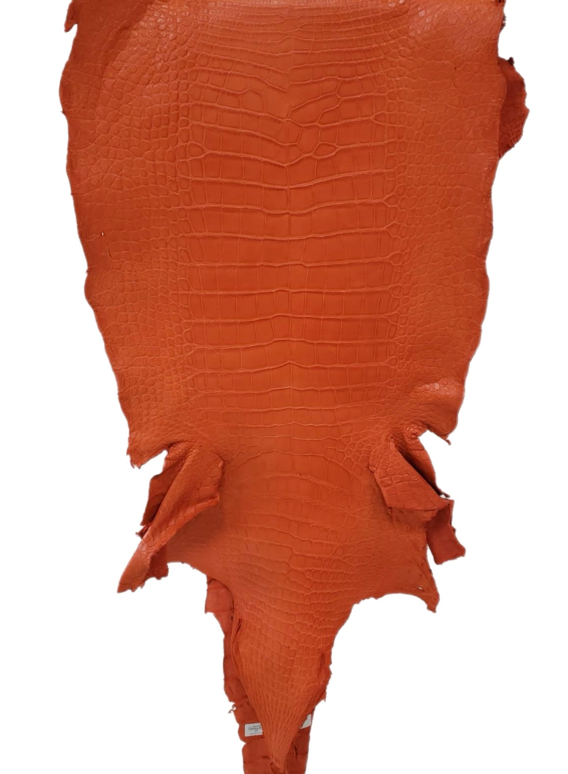 45 cm Grade 3/4 Orange Matte Farm-Raised American Alligator Leather - Tag: LA23-0004500
