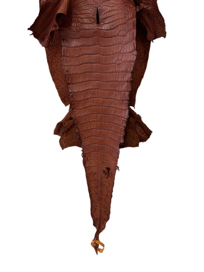33 cm Grade 3/4 Rustic Cognac Desert Wild American Alligator Leather - Tag: LA23-0051994