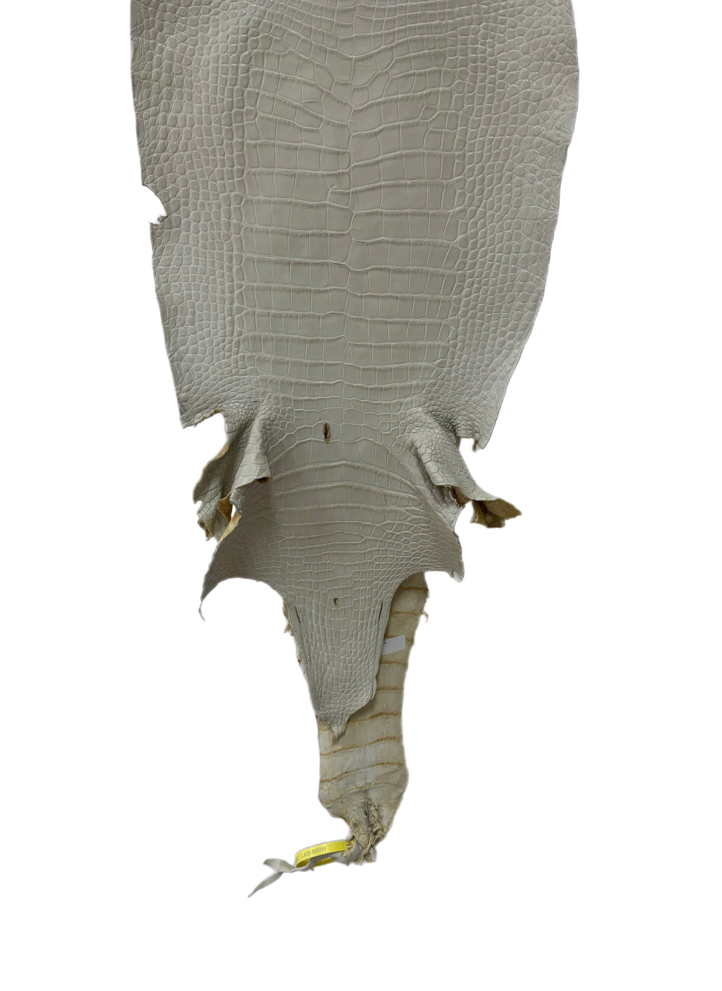 34 cm Grade 2/3 Dune Matte Wild American Alligator Leather - Tag: LA25-0009799