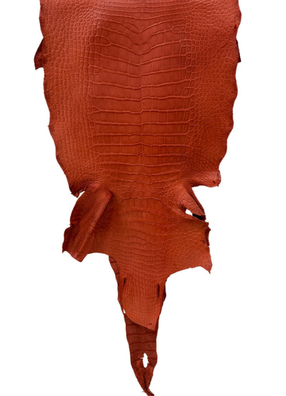 42 cm Grade 2/3 Pumpkin Matte Wild American Alligator Leather - Tag: LA18-0033097