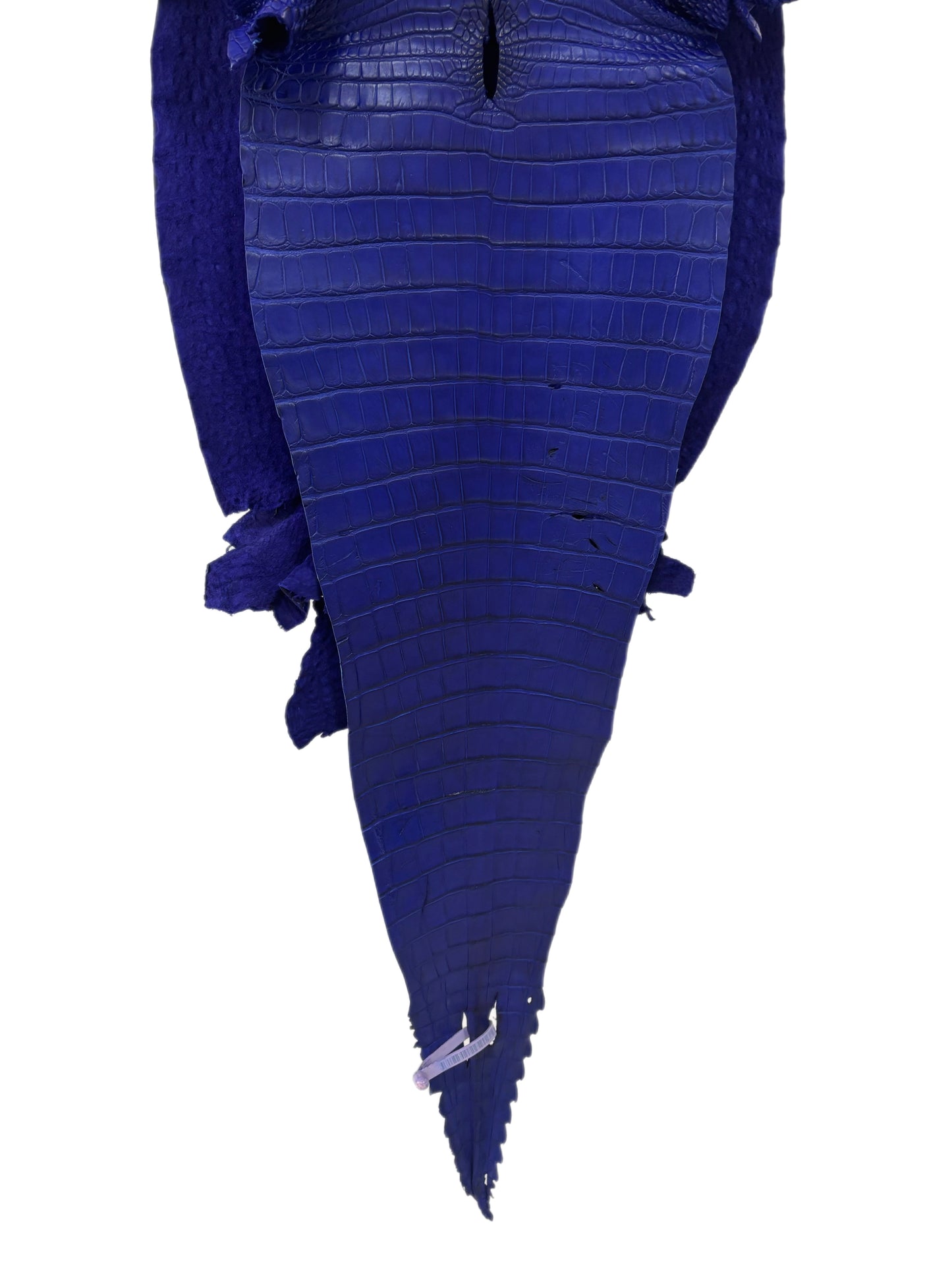 39 cm Grade 2/3 Cobalt Blue Matte Farm-Raised American Alligator Leather - Tag: FL18-0052212