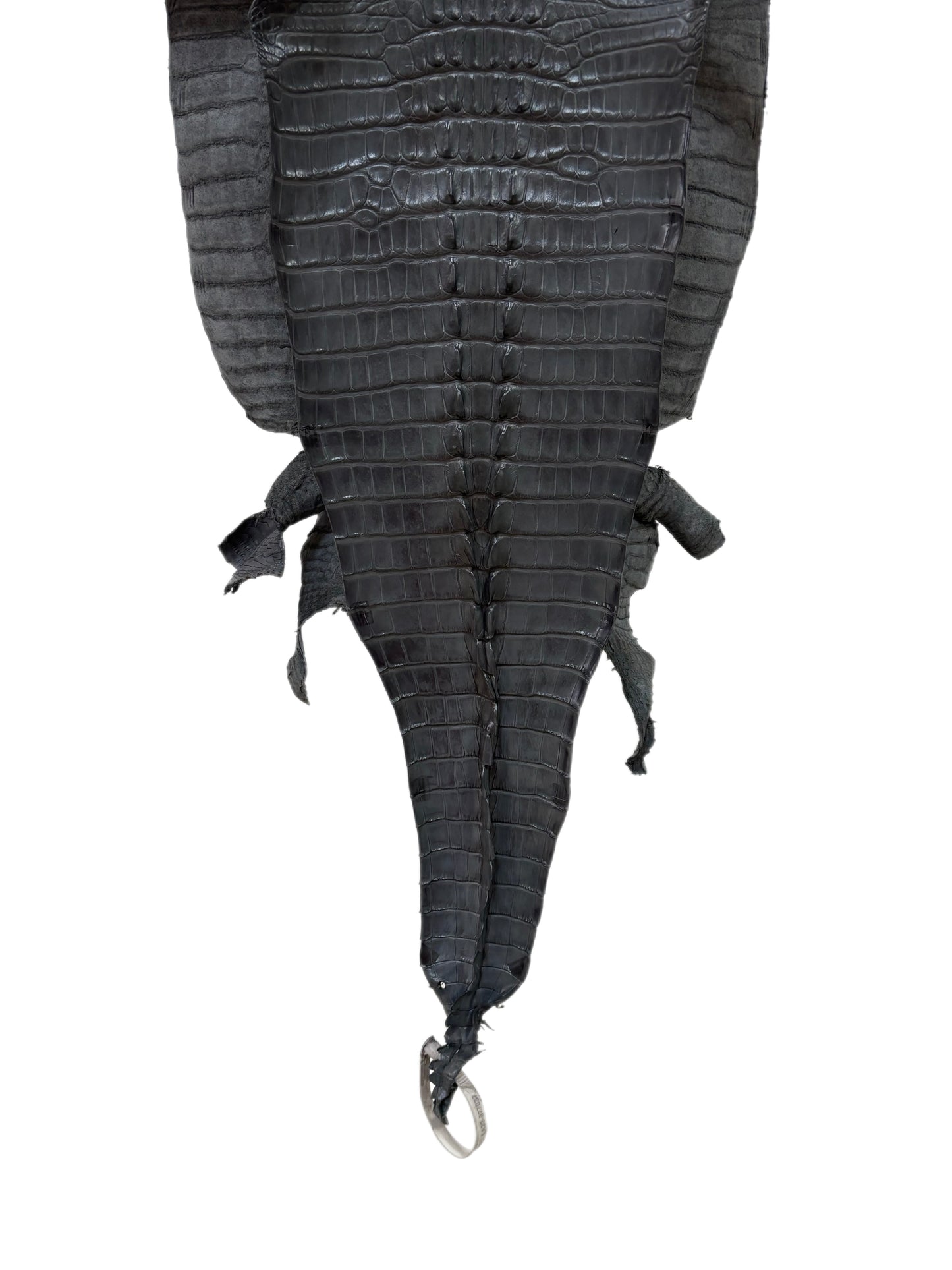 36 cm Grade 2/3 Serpentine Grey Matte Farm-Raised American Alligator Leather - Tag: LA23-0377037
