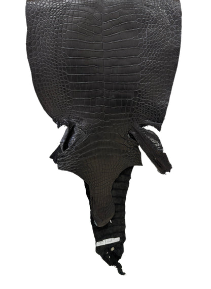 43 cm Grade 3/4 Black Matte Wild American Alligator Leather - Tag: LA23-0038947