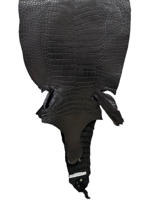 43 cm Grade 3/4 Black Matte Wild American Alligator Leather - Tag: LA23-0038947