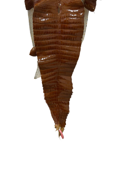 29 cm Grade 1/2 Cognac Glazed Farm-Raised American Alligator Leather - Tag: FL21-0024321