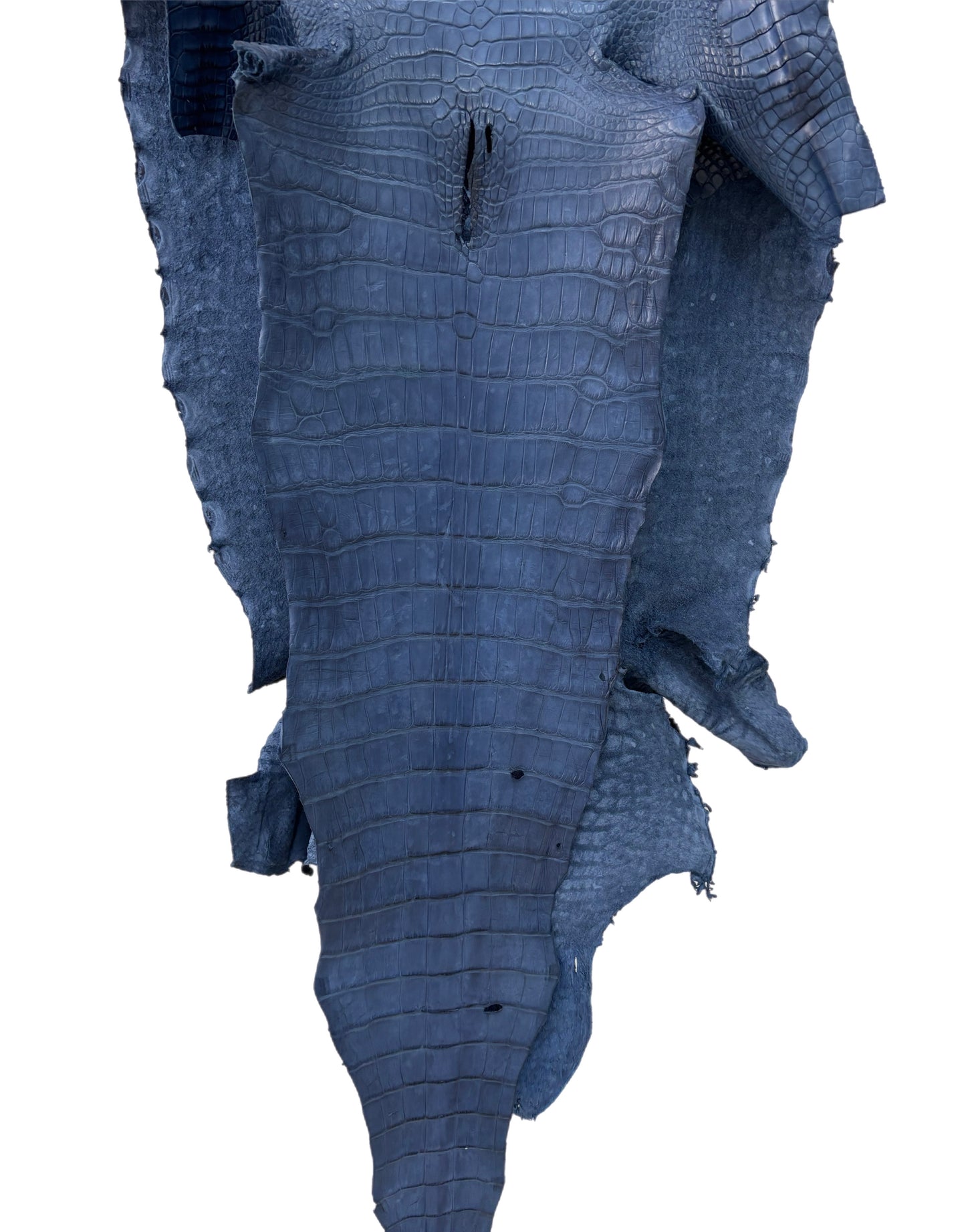 50 cm Grade 4/5 Indigo Matte Farm Raised American Alligator Leather - Tag: LA23-0022961
