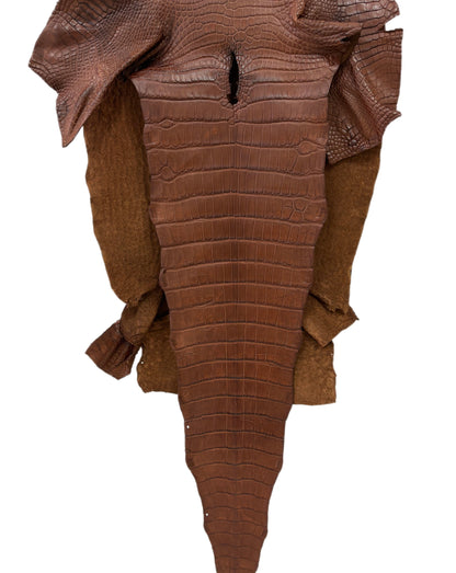 45 cm Grade 3/4 Cigar Matte Wild American Alligator Leather - Tag: LA19-0038488