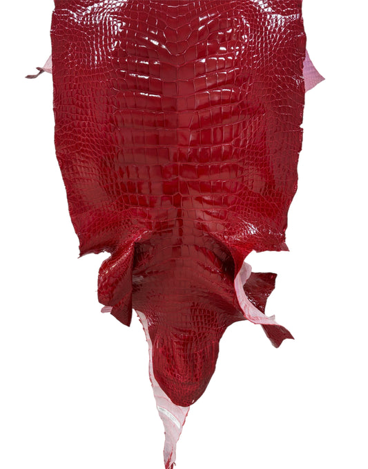 50 cm Grade 3/4 UGA Red Glazed Wild American Alligator Leather - Tag: LA13-0021732