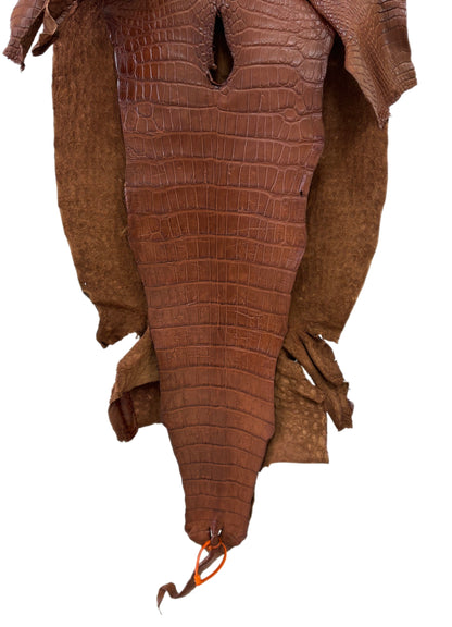 46 cm Grade 3/4 Cigar Matte Wild American Alligator Leather - Tag: LA24-0022295