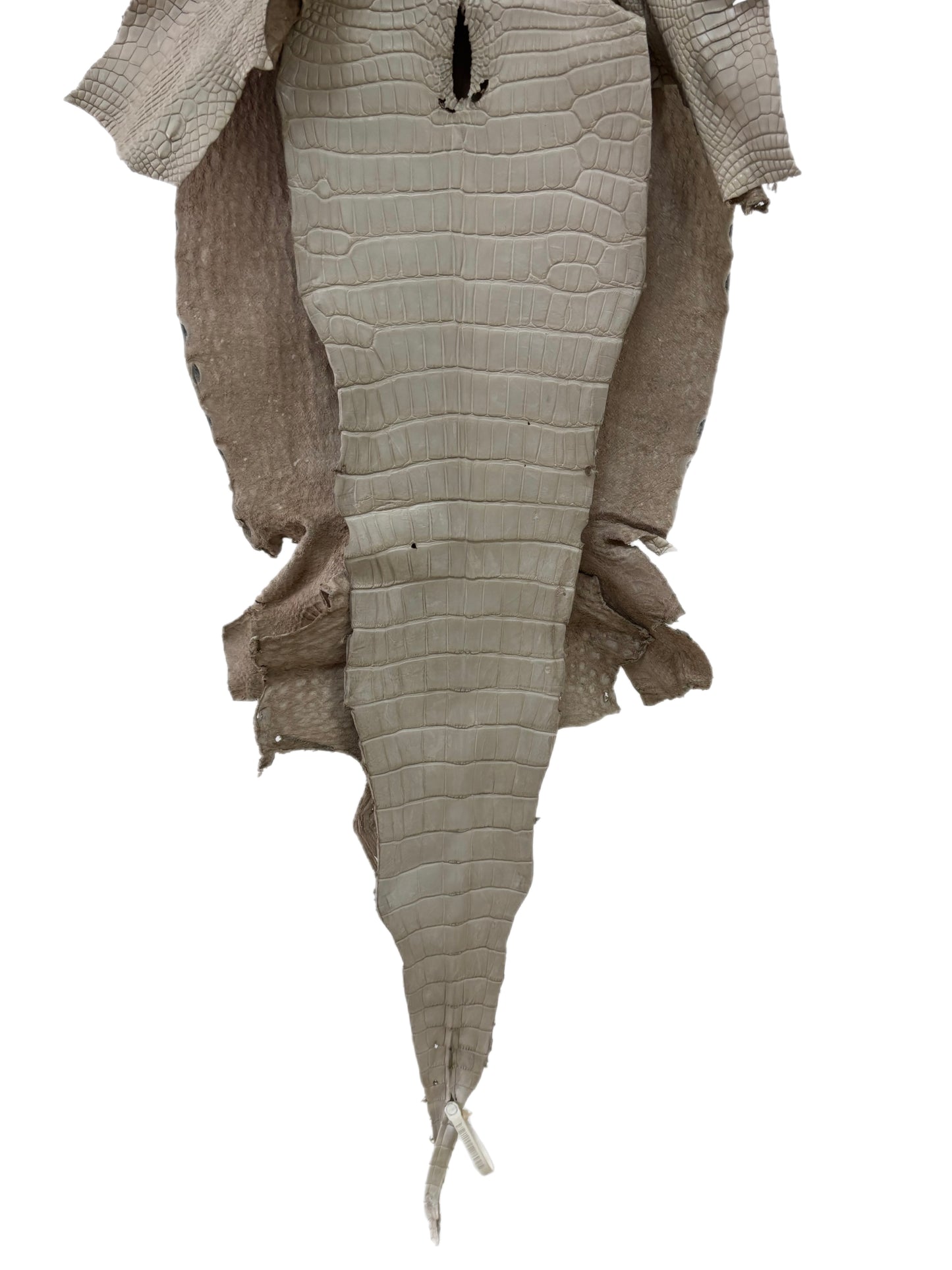 39 cm Grade 2/3 Stormy Matte Wild American Alligator Leather - Tag: LA23-0006597