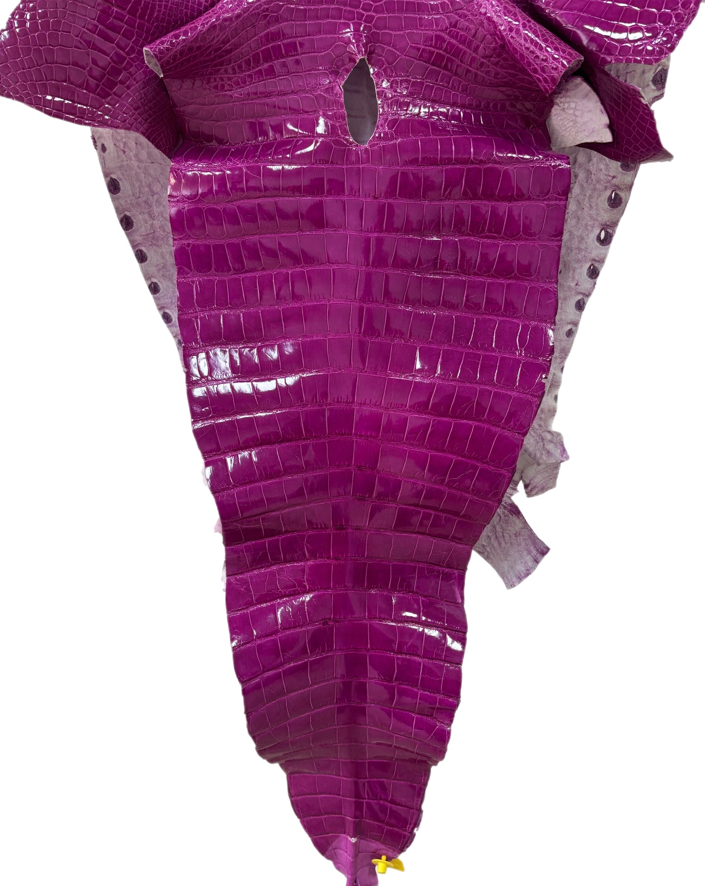 57 cm Grade 1/2 Magenta Glazed Farm Raised American Alligator Leather - Tag: FL14-0004090
