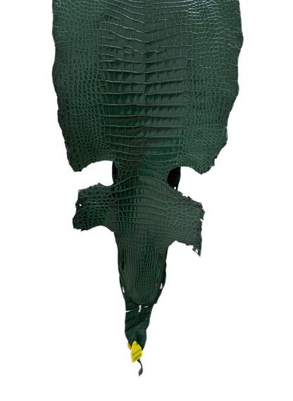 35 cm Grade 1/2 Forest Green Millennium Wild American Alligator Leather - Tag: LA17-0037700