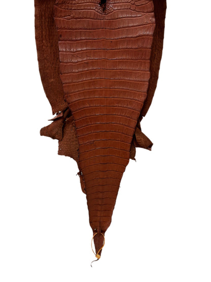 35 cm Grade 2/3 Rustic Cognac Desert Farm-Raised American Alligator Leather - Tag: FL17-0036954