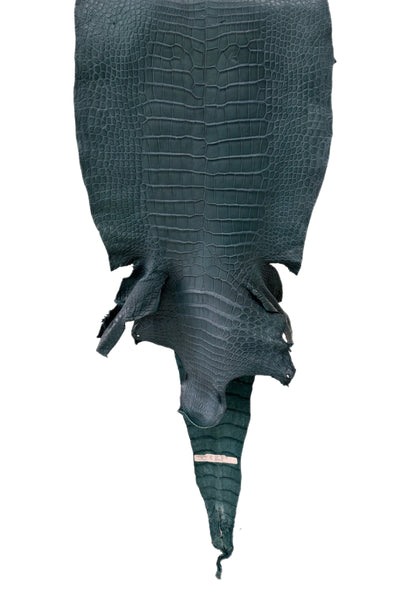 46 cm Grade 2/3 Teal Matte Wild American Alligator Leather - Tag: LA23-0024035