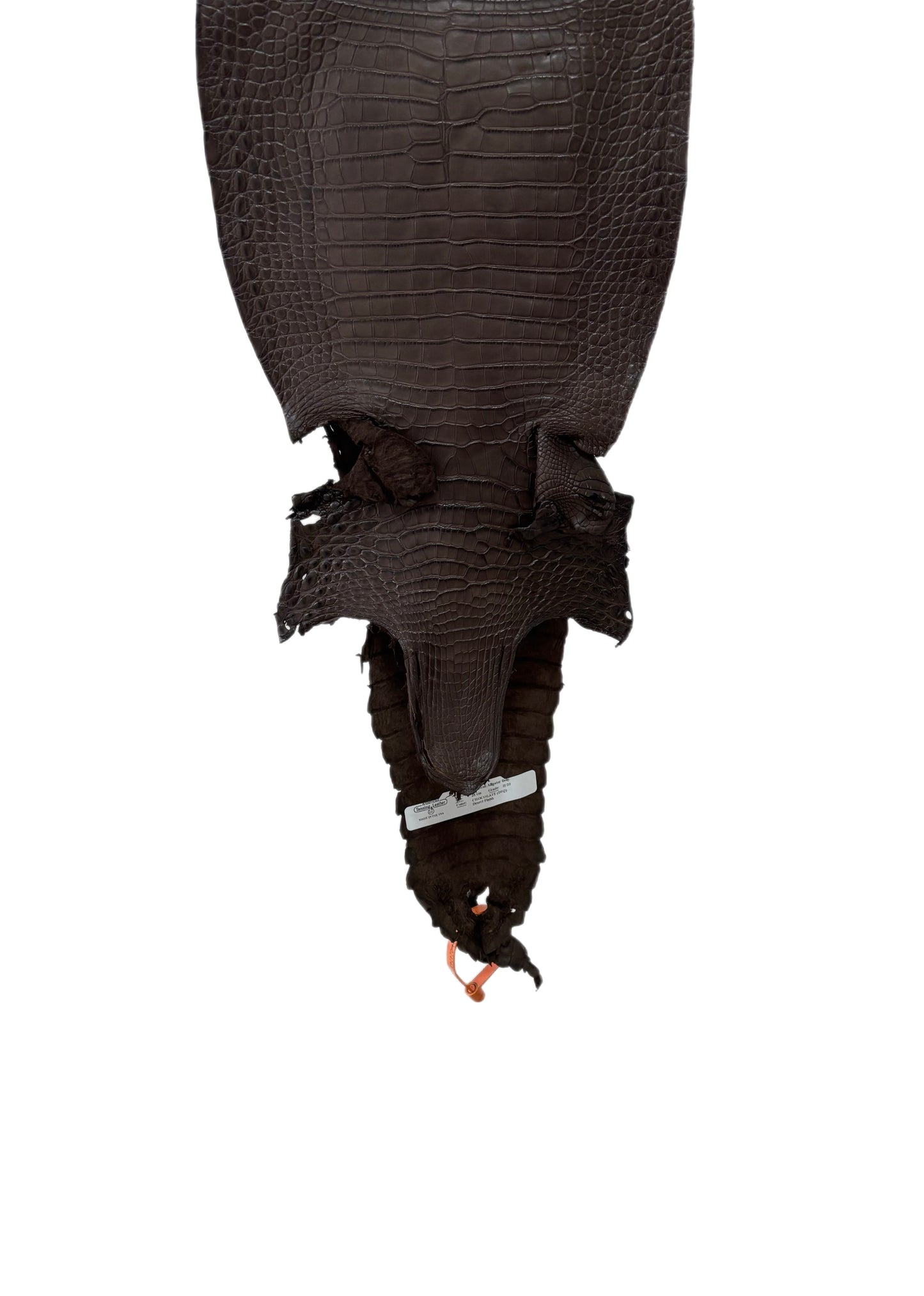 26 cm Grade 2/3 Chocolate Matte Farm-Raised American Alligator Leather - Tag: FL21-0024743