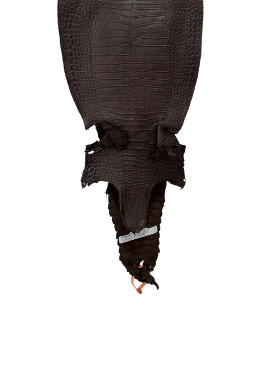 26 cm Grade 2/3 Chocolate Matte Farm-Raised American Alligator Leather - Tag: FL21-0024743