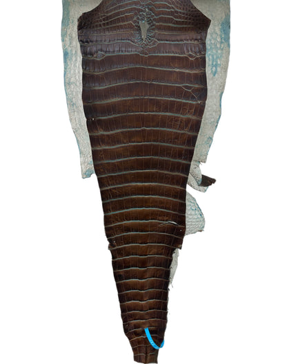 30 cm Grade 2/3 Pacifica Matte Wild American Alligator Leather - Tag: ESRE-0050892