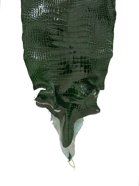 39 cm Grade 2/3 Forest Green Glazed Wild American Alligator Leather - Tag: LA17-0051886