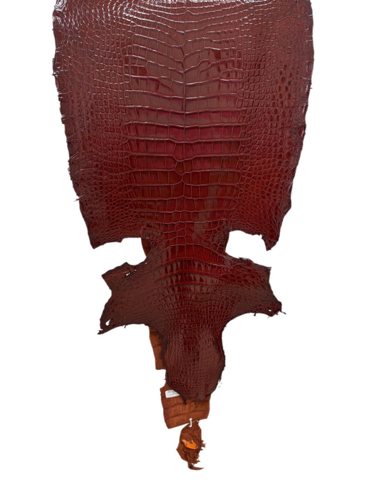 38 cm Grade 2/3 Bourbon Millennium Wild American Alligator Leather - Tag: LA16-0010610