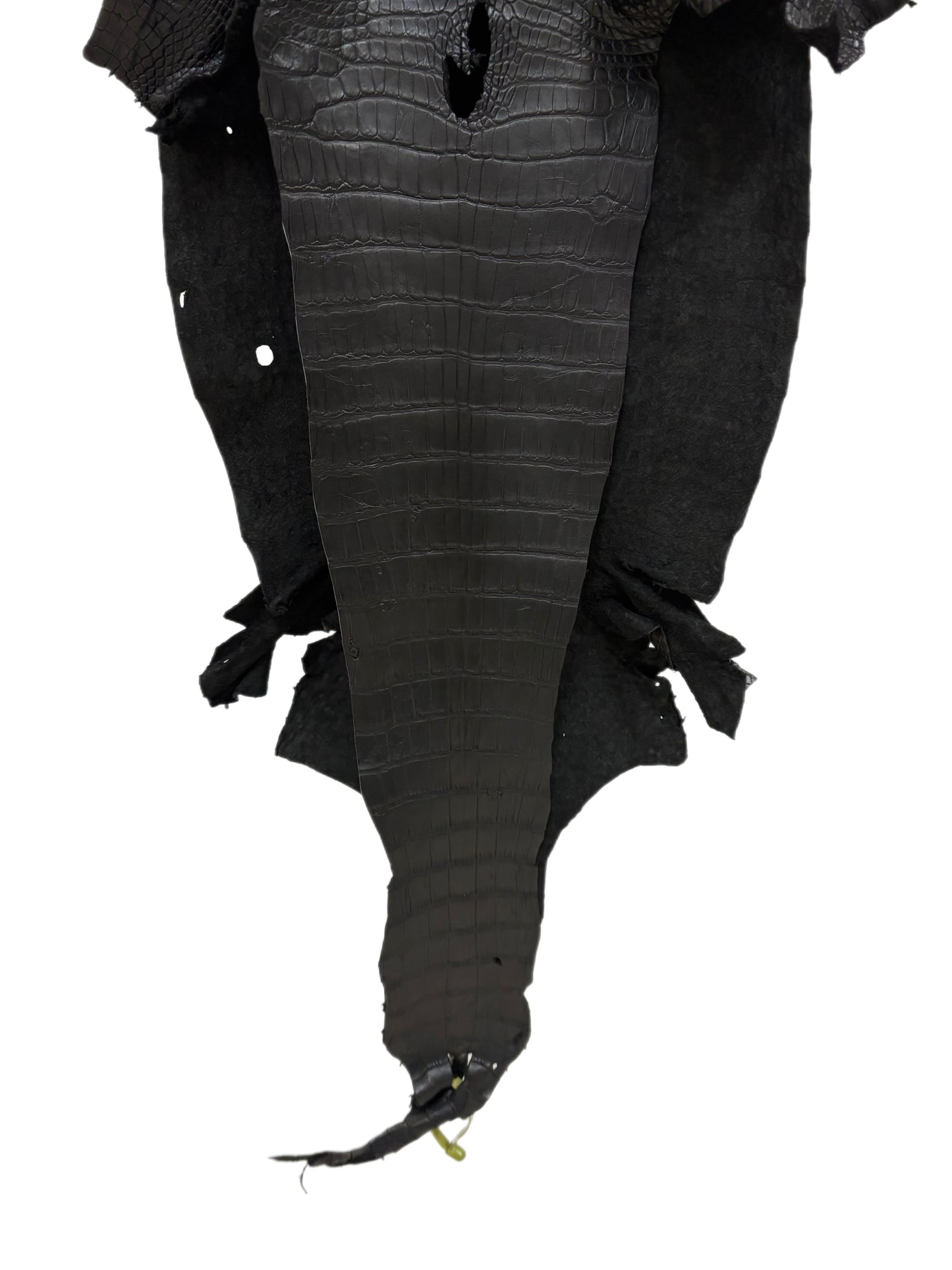 38 cm Grade 2/3 Black Matte Wild American Alligator Leather - Tag: LA22-0002231