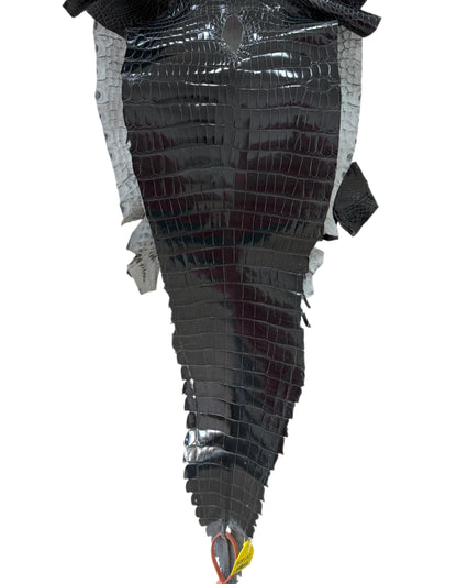 32 cm Grade 1/2 Grey Glazed Farm-Raised American Alligator Leather - Tag: GA14-0021451