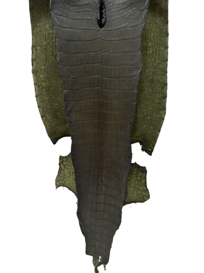 36 cm Grade 2/3 Olive Antique Wild American Alligator Leather - Tag: LA23-0022825
