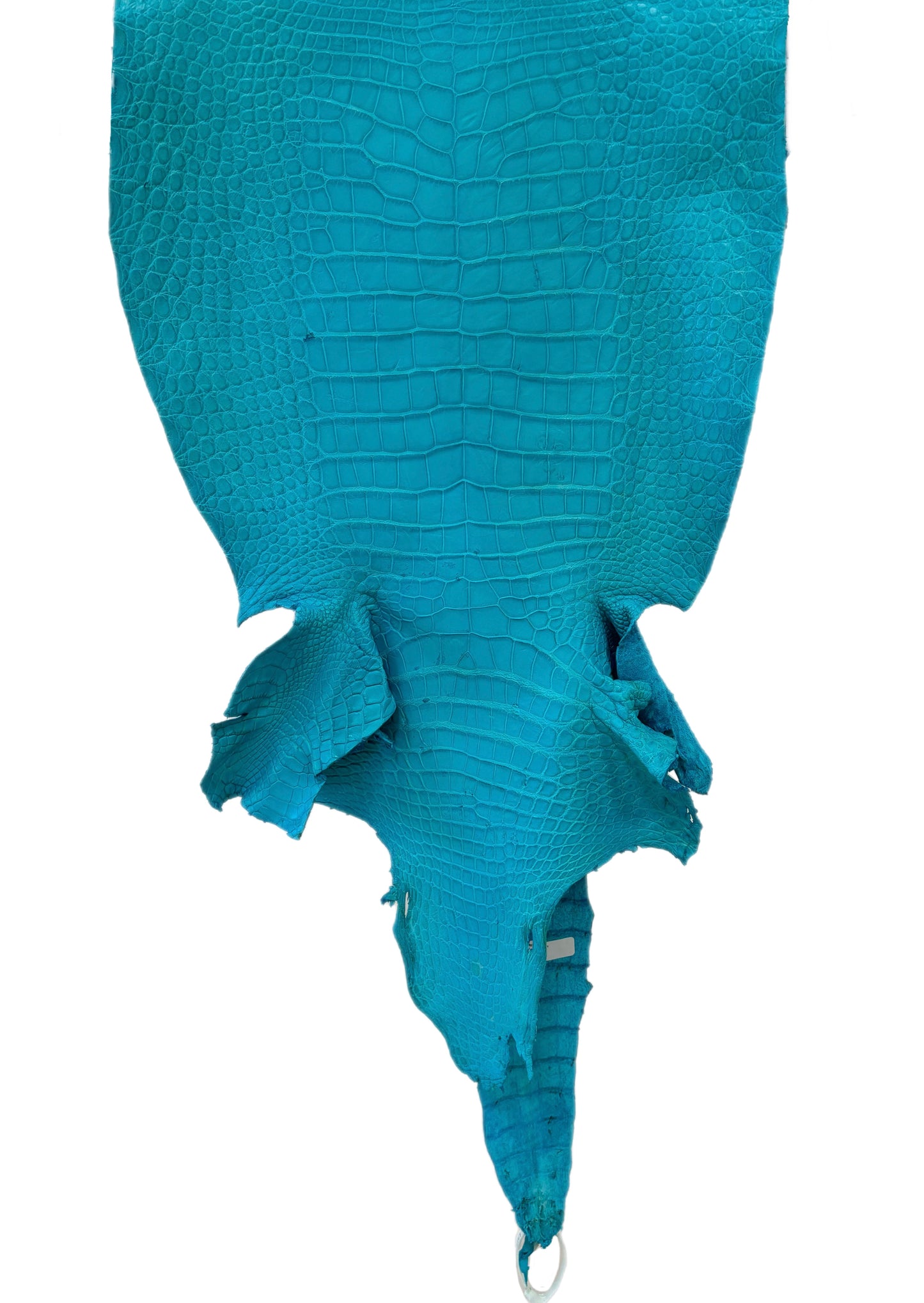 41 cm Grade 3/4 Turquoise Matte Wild American Alligator Leather - Tag: LA23-0003746