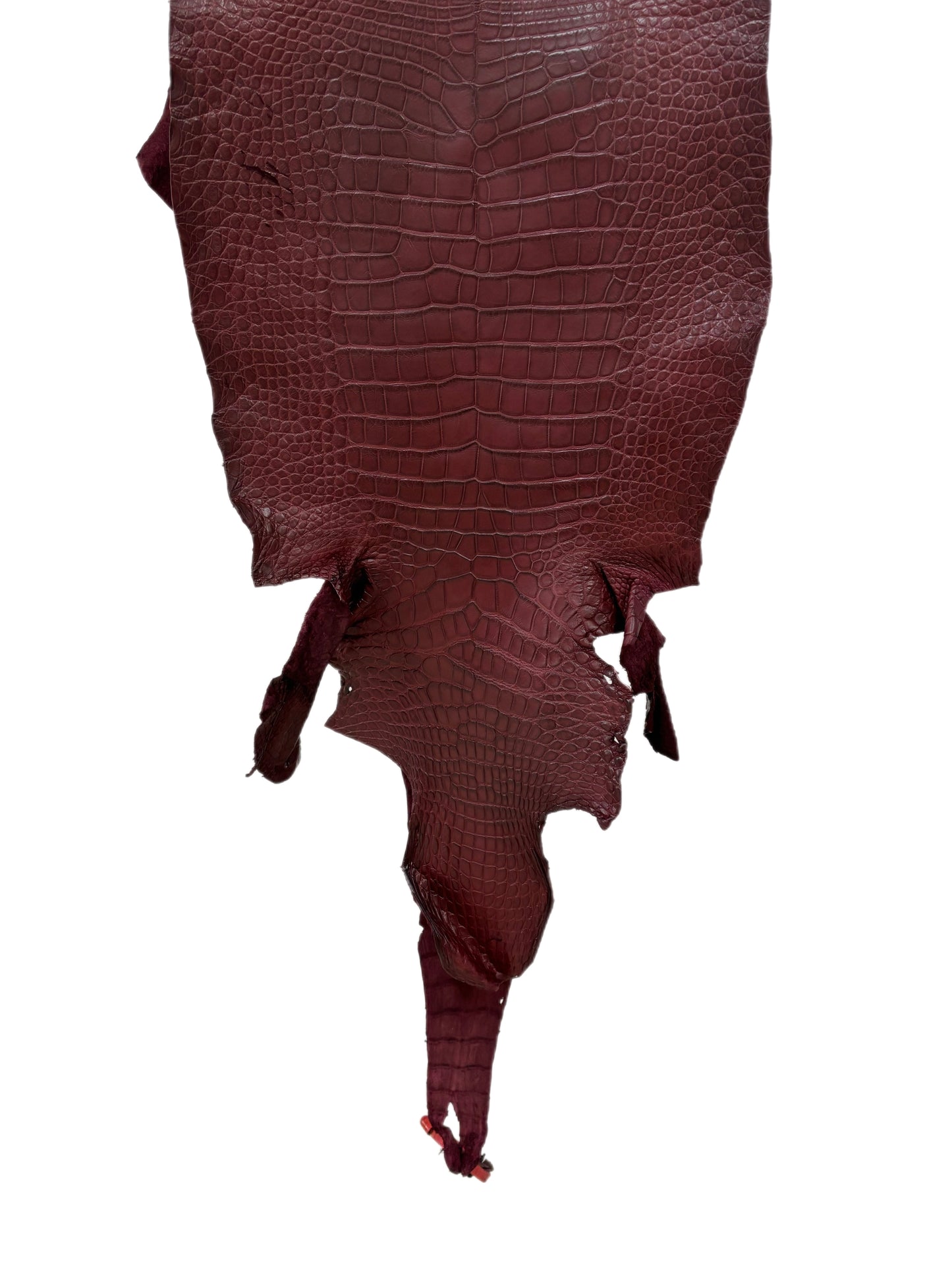 37 cm Grade 2/3 Bordeaux Matte Wild American Alligator Leather - Tag: LA18-0037375