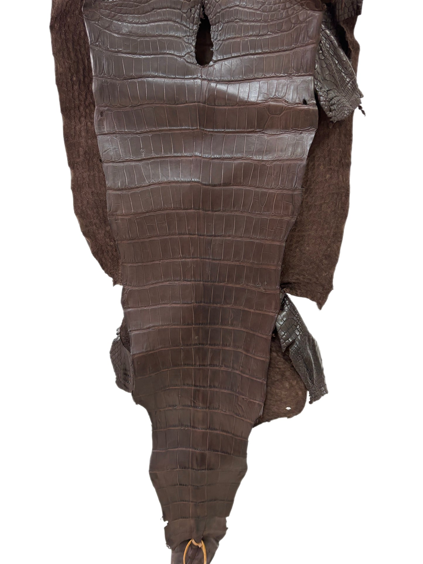45 cm Grade 3/4 Chocolate Matte Wild American Alligator Leather - Tag: LA23-0035640