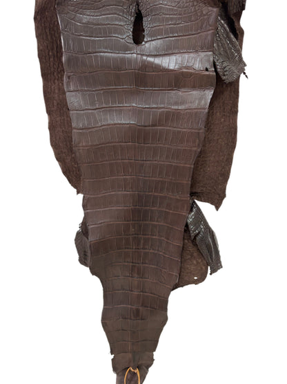 45 cm Grade 3/4 Chocolate Matte Wild American Alligator Leather - Tag: LA23-0035640