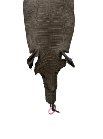 24 cm Grade 1/2 Etain Matte Farm-Raised American Alligator Leather - Tag: LA24-0228874