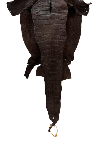 29 cm Grade 2/3 Chocolate Matte Wild American Alligator Leather - Tag: LA23-0051946