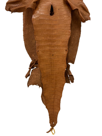 42 cm Grade 2/3 Almond Matte Wild American Alligator Leather - Tag: LA23-0022124
