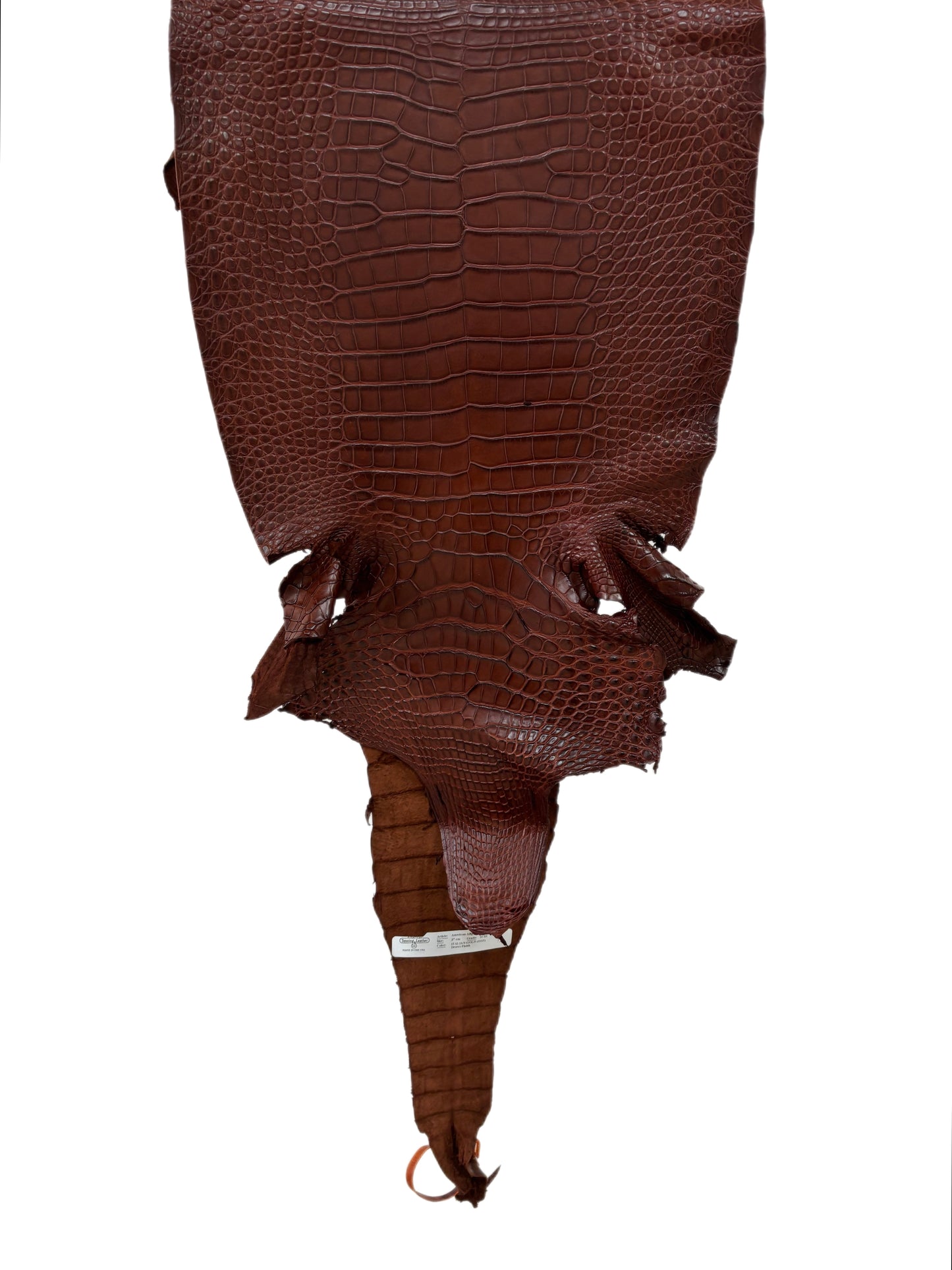 37 cm Grade 2/3 Italian Gold Matte Farm-Raised American Alligator Leather - Tag: FL17-0036797