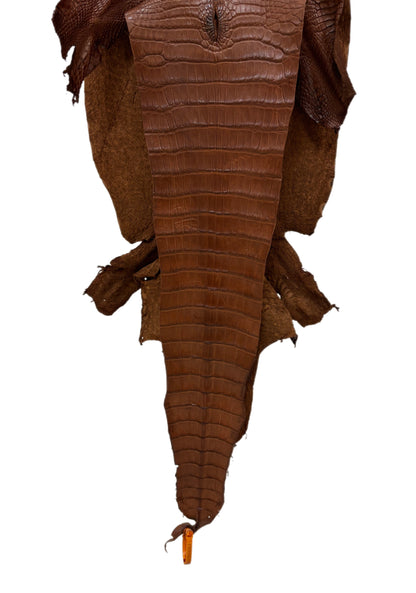 37 cm Grade 2/3 Cigar Matte Wild American Alligator Leather - Tag: LA23-0051534