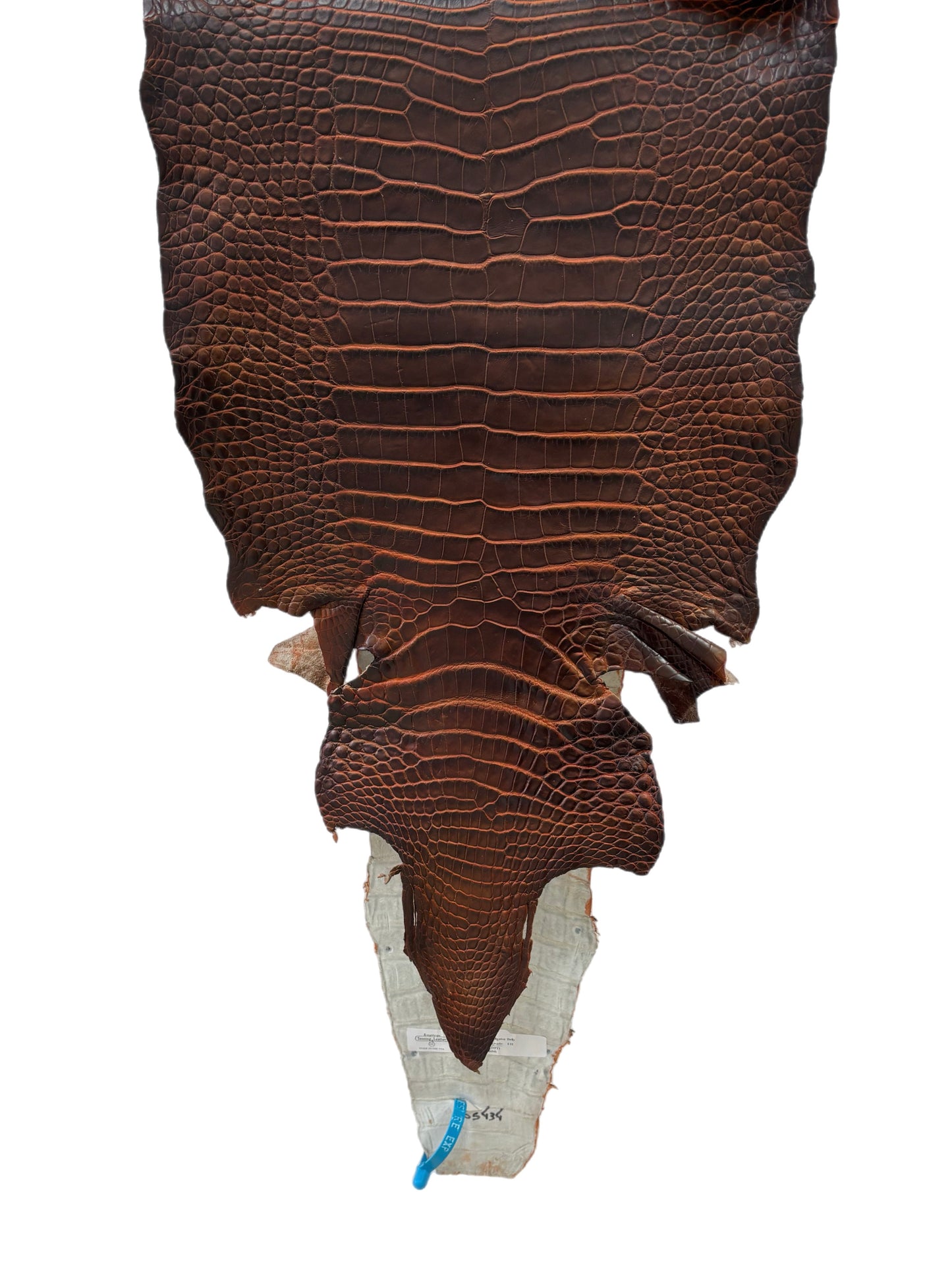 35 cm Grade 1/2 Sienna Matte Wild American Alligator Leather - Tag: ESRE-0050788