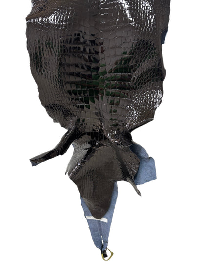 44 cm Grade 1 Black Glazed Wild American Alligator Leather - Tag: LA25-0049267