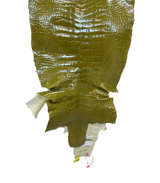 CLOSEOUT | 38 cm Grade 2/3 Muguet Glazed Wild American Alligator Leather - Tag: CCIT-0539929
